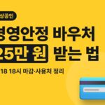 소상공인 경영안정 바우처 25만 원 받는 법