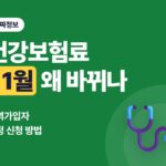 지역가입자 건강보험료 11월에 바뀌는 이유와 조정 신청 방법 (2026년 11월분 기준)